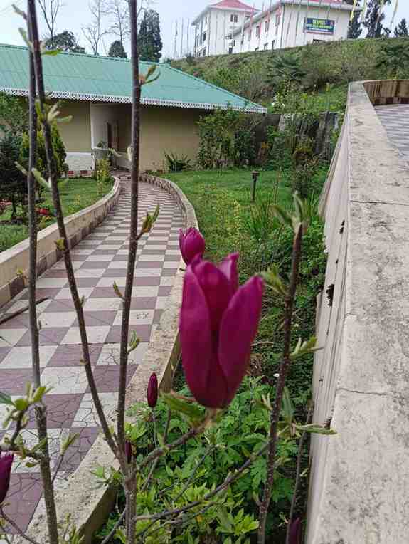 img 20260330 wa0033